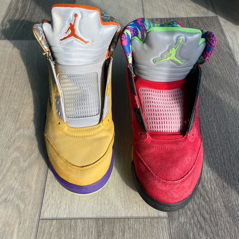 Jordan 5 retro SE